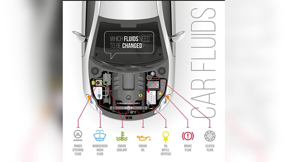 How To Check Car Fluids