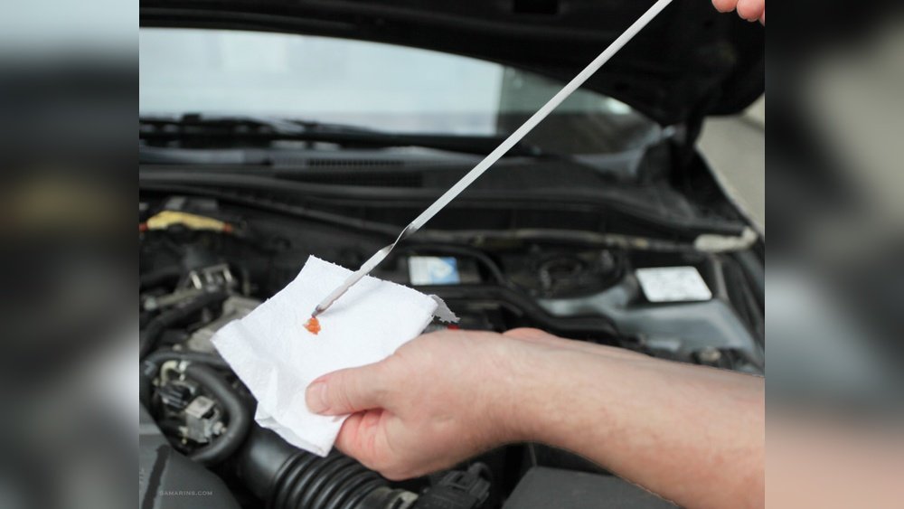 How To Check Transmission Fluid