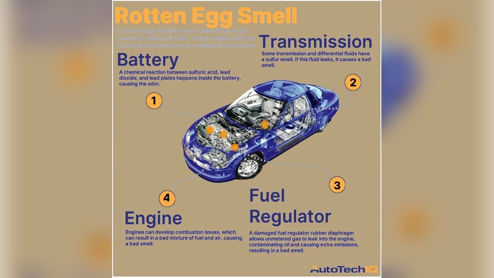 Rotten Egg Smell From Car
