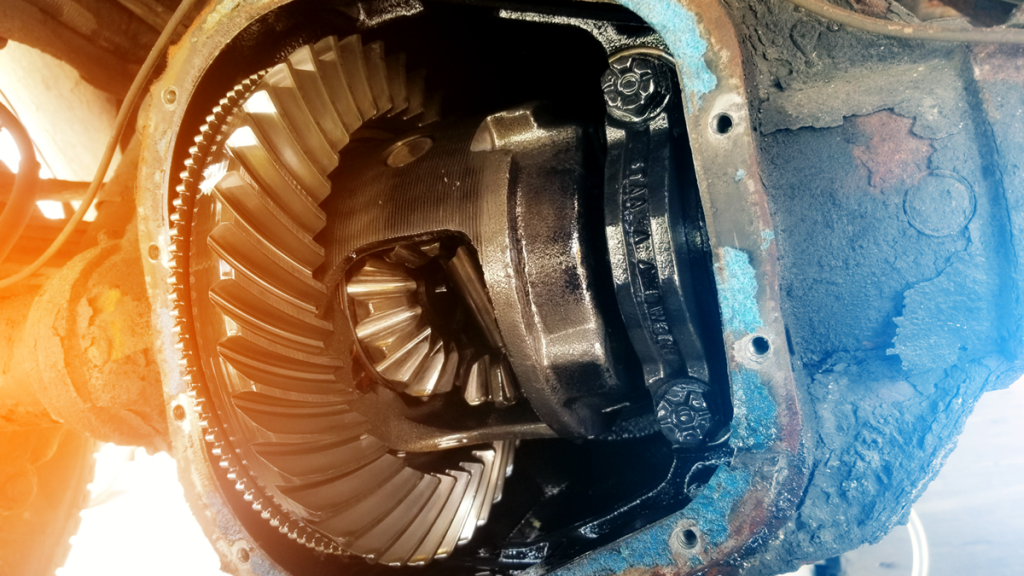 Differential Fluid Change Schedule: How Often Should You Service?