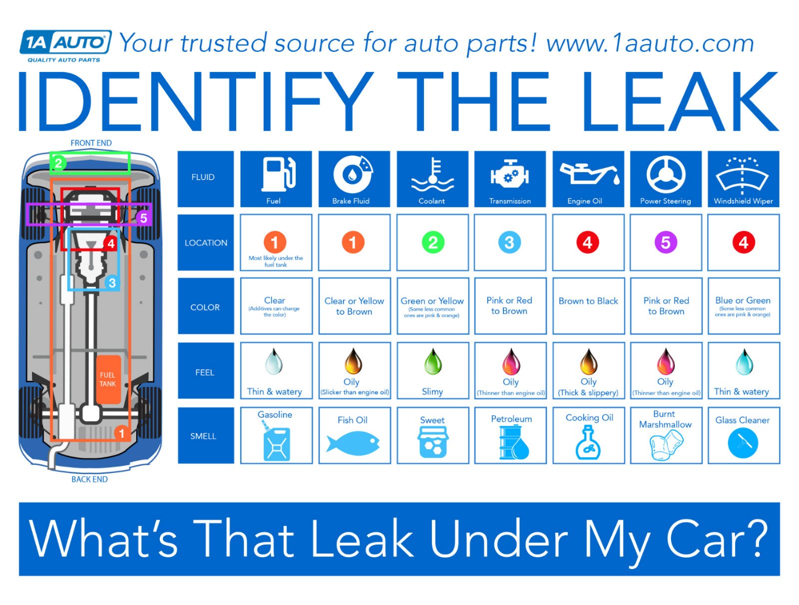 Car Fluid Color Identification Chart: Spot Leaks and Fix Fast