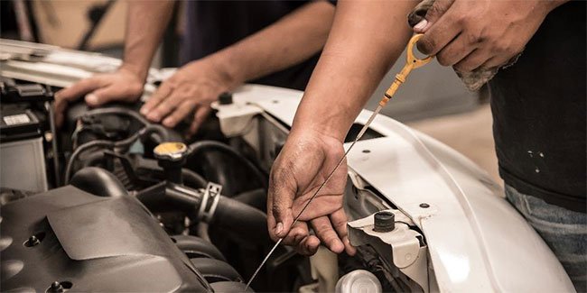 Car Maintenance DIY vs Professional: Which Is Best for You?