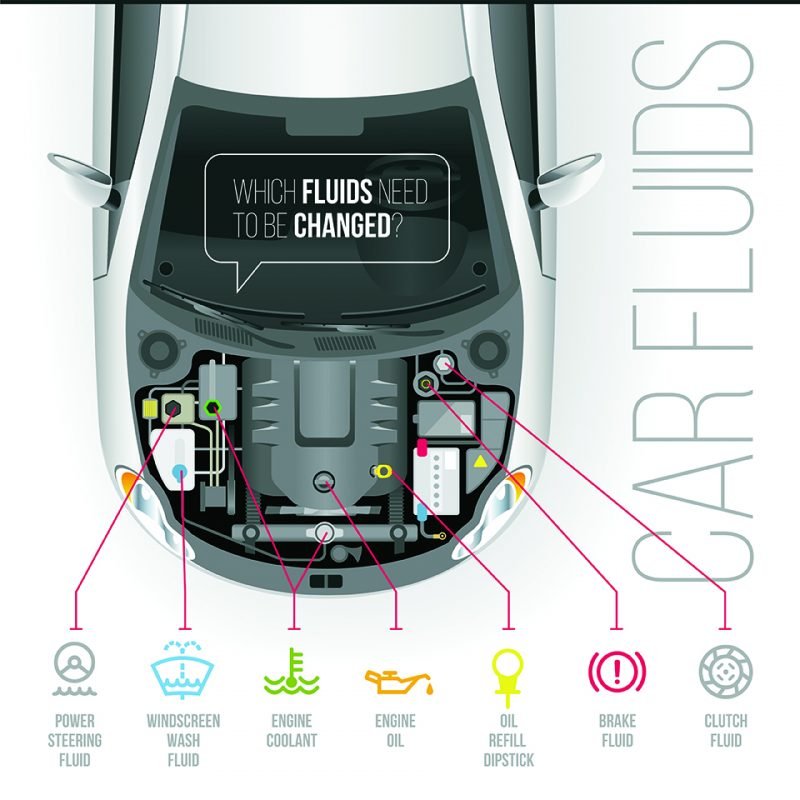 How to Check Car Fluids: A Simple Guide for Beginners